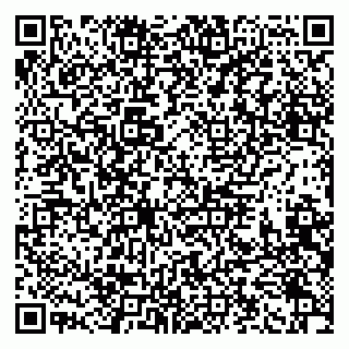 vCard 79993730104