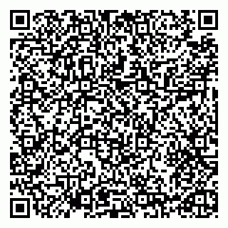 vCard 79993730105