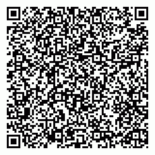 vCard 79993730117