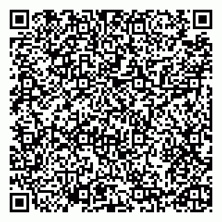 vCard 79993730119
