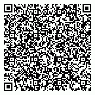 vCard 79993730121