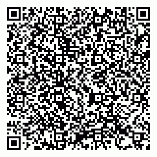 vCard 79993730129