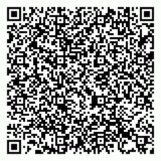 vCard 79993730130