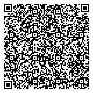 vCard 79993730131