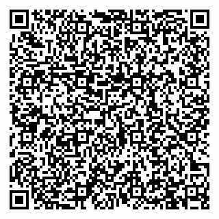 vCard 79993730132