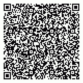 vCard 79993730133