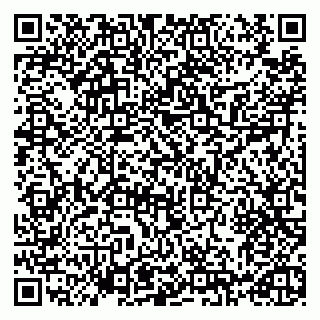 vCard 79993730137