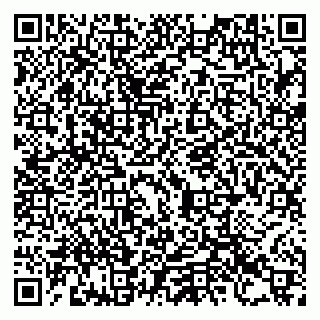 vCard 79993730138
