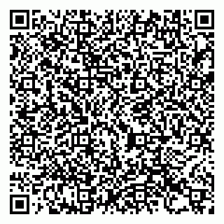 vCard 79993730140