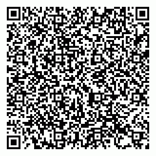 vCard 79993730145