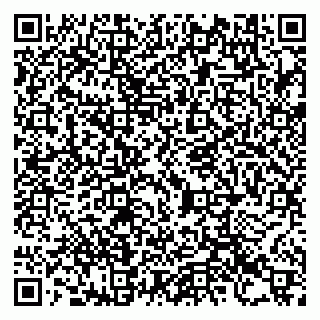 vCard 79993730163