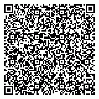 vCard 79993730173