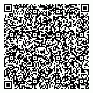 vCard 79993730187