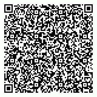 vCard 79993730239