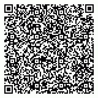 vCard 79993730262