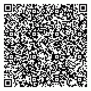 vCard 79993730271