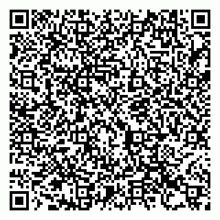 vCard 79993730294
