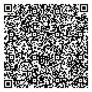 vCard 79993730313