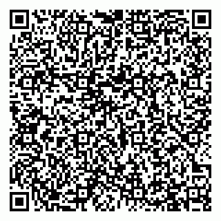 vCard 79993730315