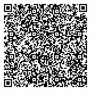 vCard 79993730319