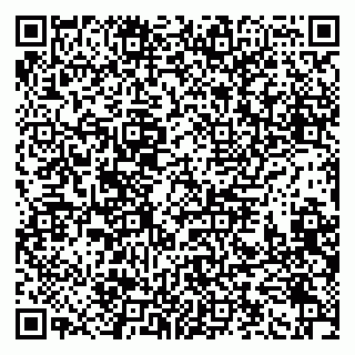 vCard 79993730329
