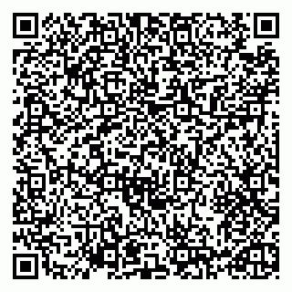 vCard 79993730330