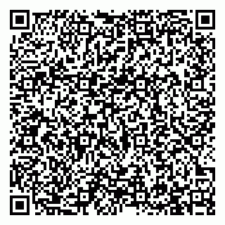 vCard 79993730335