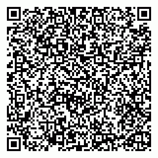vCard 79993730380