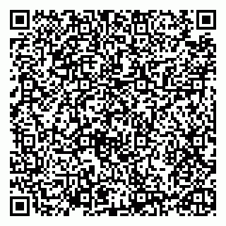 vCard 79993730399