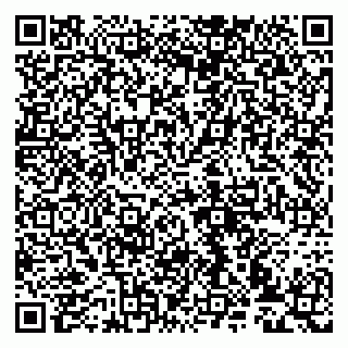 vCard 79993833000