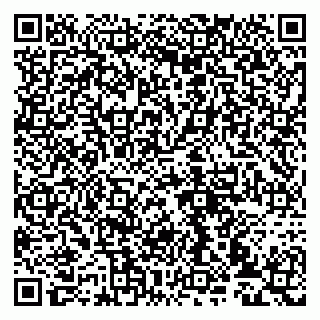 vCard 79993833001