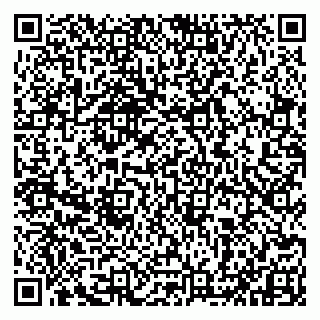 vCard 79993833002