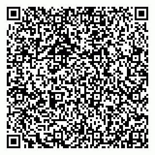 vCard 79993833003
