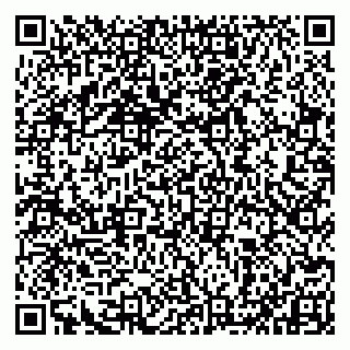 vCard 79993833004