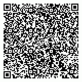 vCard 79993833006