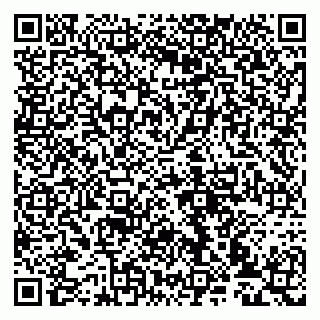 vCard 79993833008