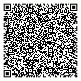 vCard 79993833010
