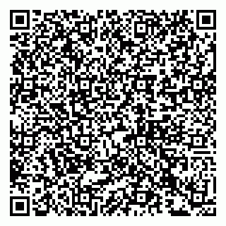vCard 79993833011