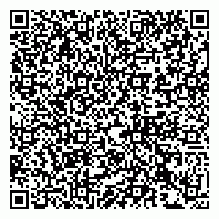 vCard 79993833018