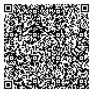 vCard 79993833021