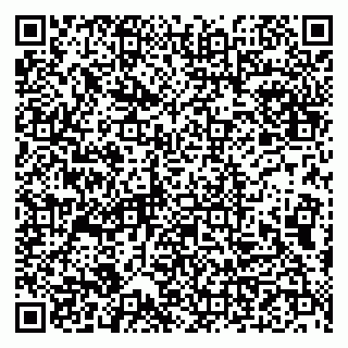 vCard 79993833022