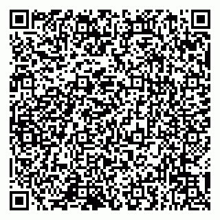 vCard 79993833027