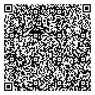 vCard 79993833034