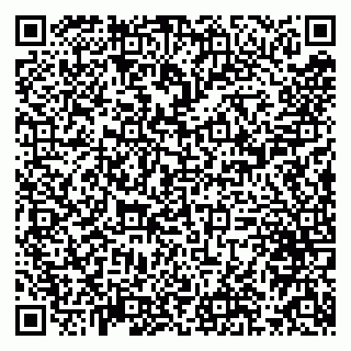 vCard 79993833035