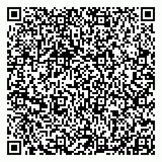 vCard 79993833036