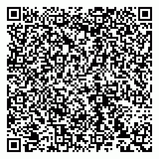 vCard 79993833037