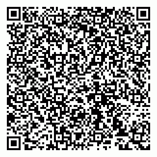 vCard 79993833039