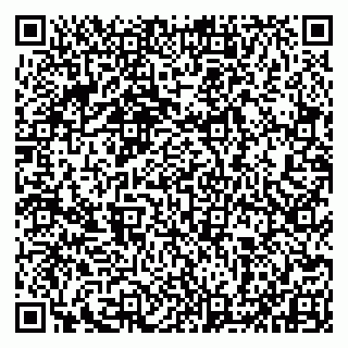 vCard 79993833040