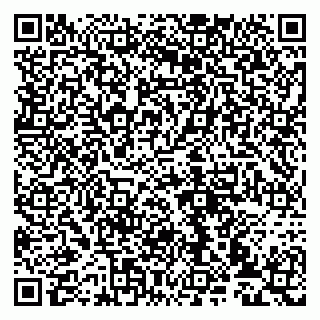 vCard 79993833041