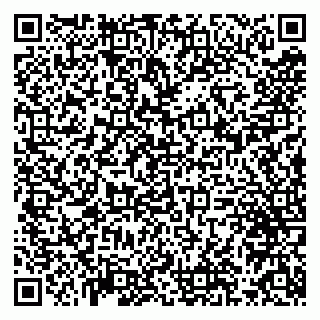 vCard 79993833043